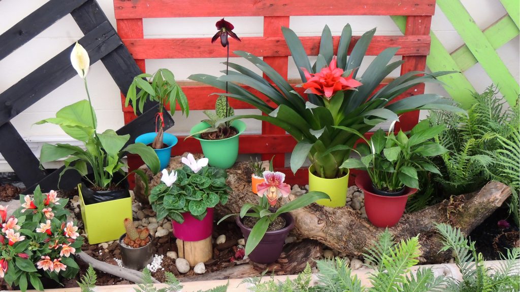 En este Día del Padre